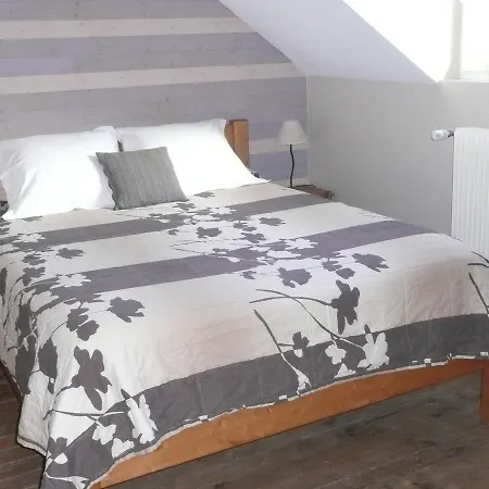 Hotel apartamentowy L'etoile Du Sancy 3*